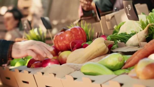 Müşteri Yerel Çiftçi Pazarından Satın Almak Için Renkli Biyo Meyve — Stok video