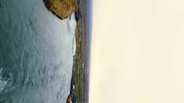 Dikey Video Zlanda Oksarkoparafoss Şelalesinin Insansız Hava Aracı Çekimi Skandinav — Stok video
