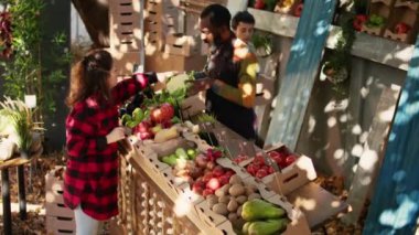 Küçük işletme sahibi kadınlara doğal organik ürünler satıyor, taze biyolojik ürünler. Çiftçiler çiftçi pazarında tüketicilere sağlıklı meyve ve sebzelerle yardım ediyorlar..