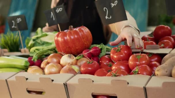 Greengrocer Muda Dengan Apron Menunjukkan Produk Pertanian Organik Mengatur Buah — Stok Video