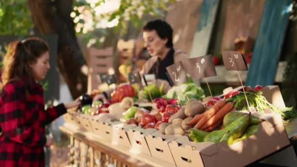 Веселые Женщины Говорят Местных Продуктах Клиент Покупает Натуральные Фрукты Овощи — стоковое видео