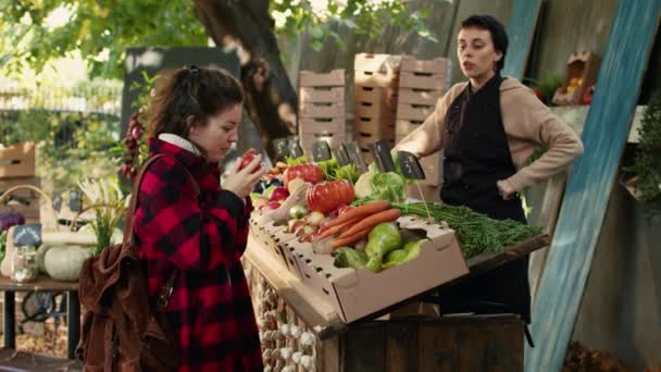 Småföretagare Som Säljer Säsongsbetonade Hälsosamma Ekologiska Produkter Från Lokal Trädgård — Stockvideo