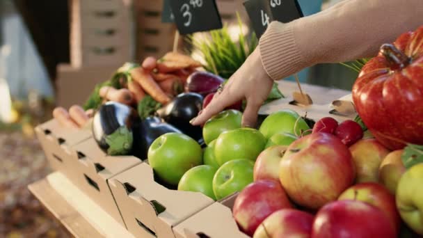 Las Agricultoras Organizan Frutas Verduras Mostrador Mercado Los Agricultores Preparándose — Vídeo de stock