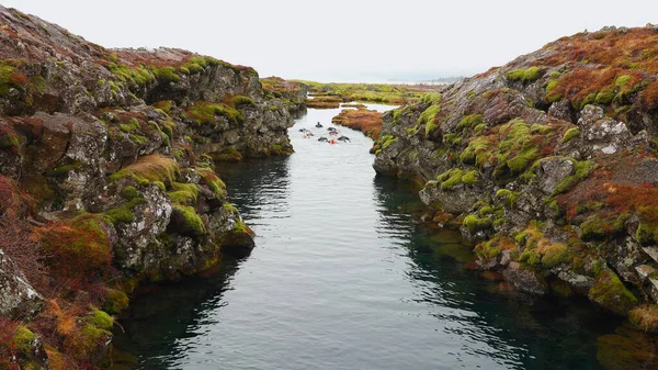 人々のグループは 北極の冷たい水の中で屋外スポーツで楽しんで Reykjavik近くの植物園で冬のシュノーケリングをします 凍る川 アイスランドの風景の中に泳ぐ観光客 手持ち撮影 — ストック写真