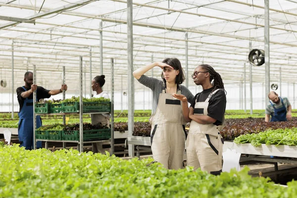 Farm Workers Collegues Overseeing Organic Sustainable Eco Friendly Bio Green — Stock Photo, Image