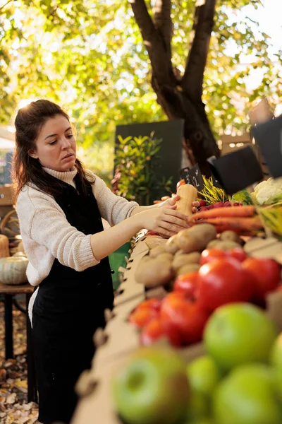 女农民出售有机土生土长的水果和蔬菜 在外面安排新鲜的生态产品 年轻的小企业主准备在当地农贸市场销售天然食品 — 图库照片