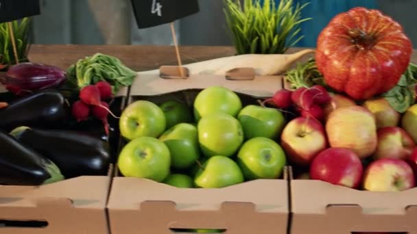 Various Organic Farmers Market Products Greenmarket Seasonal Ripe Fruits Vegetables — Stock Video