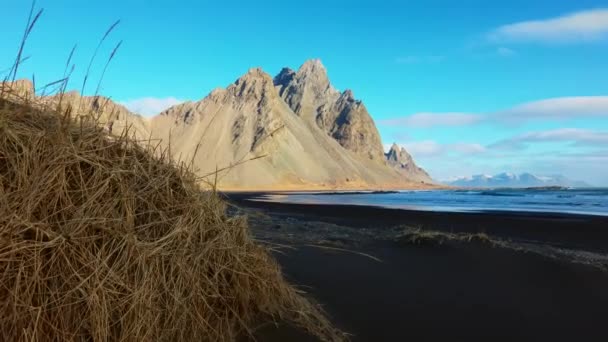 北極圏には黒い砂のビーチがあり 巨大なベストラホーン山脈が壮大なアイスランドの景色を作り出しています アイスランドの半島に丘と雄大な海の海岸線 手持ち撮影 — ストック動画