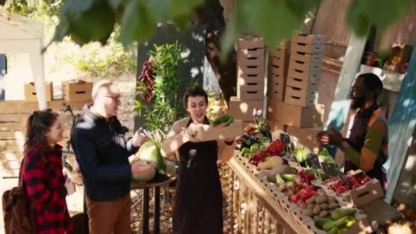 Mladý Tým Držitelů Stánků Vybírá Jablka Zeleninu Krabici Pro Skupinu — Stock video