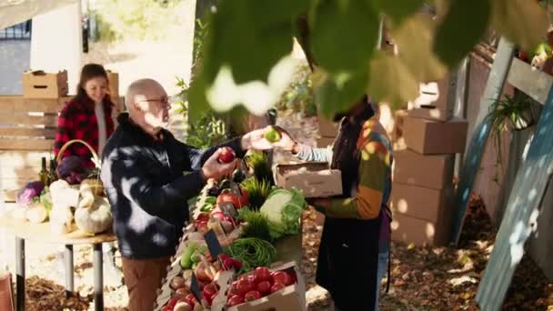Afrika Kökenli Amerikalı Çiftçi Eski Müşterilerine Taze Meyve Sebzelerden Bahsederek — Stok video
