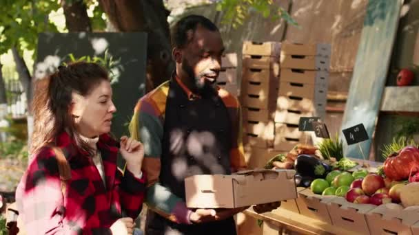 非洲裔美国农民将新鲜产品装箱 出售天然生物水果和蔬菜包装 与当地市场商贩交谈 购买有机产品的年轻妇女 — 图库视频影像
