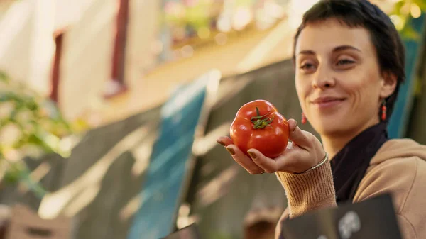 年轻的成年人从私人花园赠送生物有机西红柿 出售天然蔬菜或水果 小企业主对当地的农贸市场很满意 手持射击 — 图库照片
