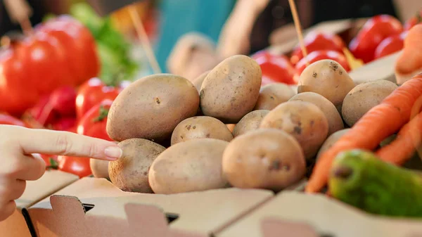 Çiftçi Pazarında Tezgahta Patates Satan Yerel Bir Tezgahtar Biyolojik Meyve — Stok fotoğraf