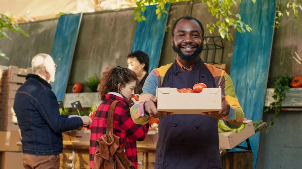 Small Business Owner Presenting Box Filled Ripe Tomatoes Holding Natural — Stock Photo, Image