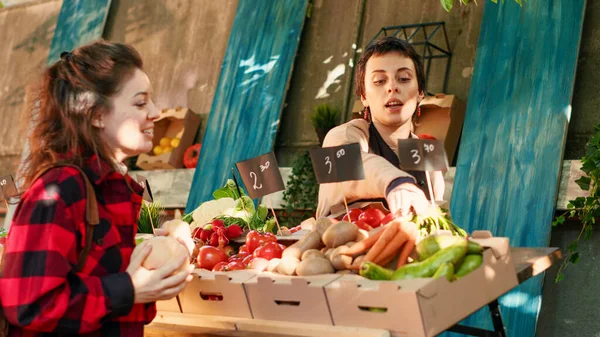 Friendly Woman Farmer Selling Fresh Organic Apples Female Customer Vendor — Stock Photo, Image
