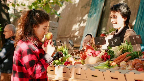 Çiftçi Pazarından Satın Almak Için Sulu Elmalara Bakan Mutlu Kadın — Stok fotoğraf