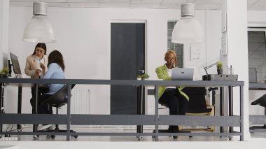 Business woman planning development strategy at desk, looking at analytics online on laptop to create annual report. Office worker checking information on statistics, agency management.