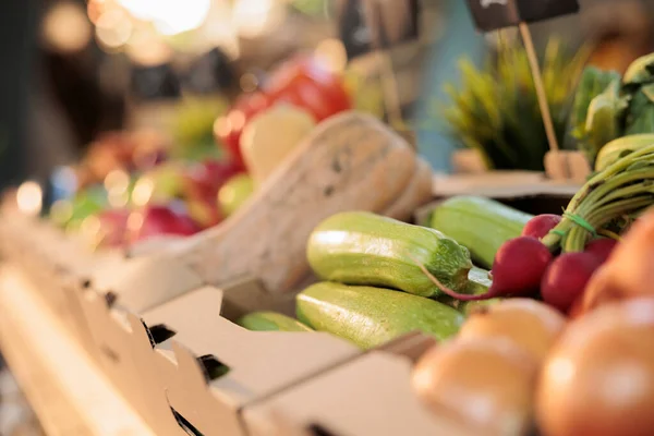 来自天然收获的五彩缤纷的新鲜水果和蔬菜 有机南瓜或南瓜放在农民的市场上 来自农场花园 粮食市场的生鲜蔬菜和生态产品 靠近点 — 图库照片