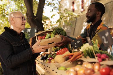 Elderly customer receiving box of organic fruits and veggies at local farmers market, visiting grocery stand. Cheerful male small business owner selling home grown natural bio products.