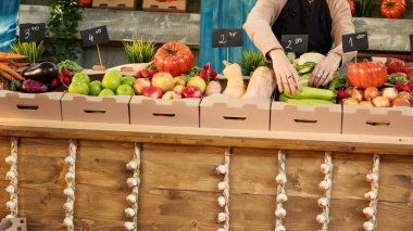 Genç kadın çiftçi çiftçilik ürünlerini kutulara yerleştiriyor, meyve ve sebzeleri yerel çiftçi pazarında tezgaha koyuyor. Kadın tezgahtar ev yapımı ürünler satıyor. Kapat..