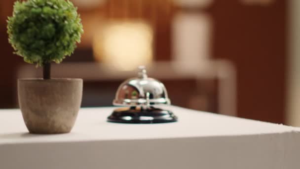 Konsiyerj Çanının Yanındaki Mini Bitkinin Çok Yakın Çekim Masasında Rahat — Stok video