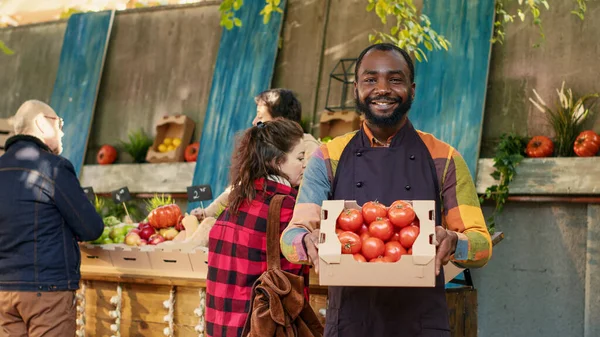 Man Standhouder Presenteren Doos Gevuld Met Rauwe Tomaten Met Natuurlijke — Stockfoto