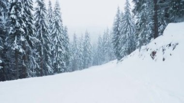 El kamerasıyla, çam ağaçlarıyla çevrili karlı dağ yürüyüşü yoluna tırmanan bir yolcunun görüntüsü. Karla kaplı ormanlarla çevrili buzlu dağlarda yürüyen bir turist.