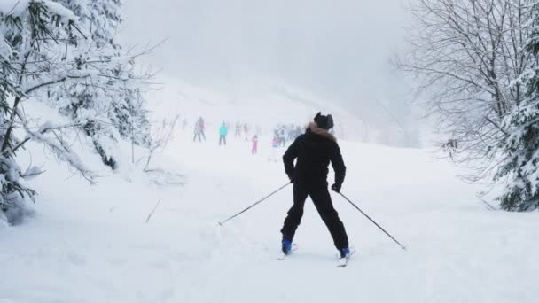 2023年1月 ブルガリアのパンポロヴォ Pamporovo 松林に囲まれた雪に覆われた山の斜面をスキーする観光客のグループ 冬の間 山岳地帯で極端なスポーツをするスキーヤー — ストック動画