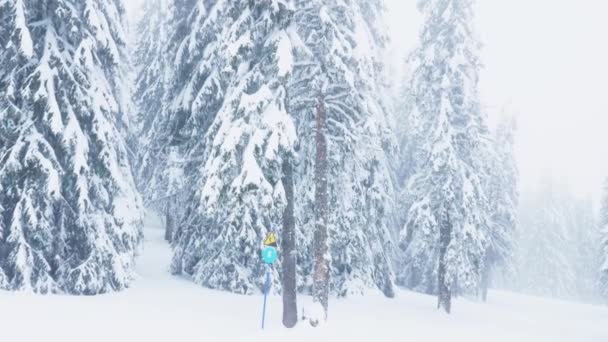 凍った山の上の雪に覆われた松林に囲まれた下り坂のパニングショット 山の丘の上の白い氷の森に沿って位置するスキー場 — ストック動画