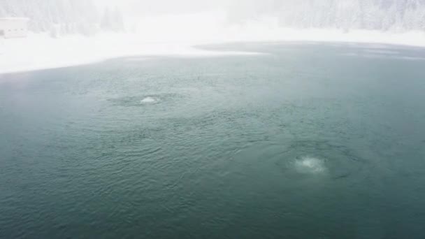冬季の山頂に松の木と氷の地形に囲まれた冷たい湖のパノラマシュート 雪に覆われた森と山の谷のドローン映像 — ストック動画