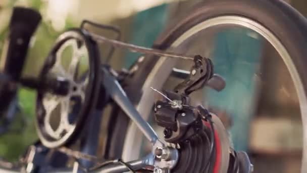 Κοντινό Πλάνο Της Γυναίκας Σέρβις Και Ρύθμιση Του Ποδηλάτου Πίσω — Αρχείο Βίντεο