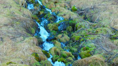 Uçurumdan aşağı akan İzlanda şelalesinden akan su, Reykjavik 'teki dağdan ya da tepeden akan nehir akıntısı. İzlanda 'da görkemli doğal seljalandsfoss şelalesi, Kuzey manzarası.