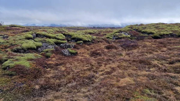 アイスランドの北欧の牧草地と凍った野原は チンヴェーレ国立公園の高原渓谷の中にあります 岩の形成と茶色の土地で壮大なアイスランド風景 — ストック写真