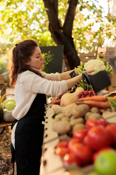 快乐的围裙店主在当地农贸市场为工作日准备农产品 放新鲜的当地种植的生物水果和蔬菜 地方农业企业概念 — 图库照片