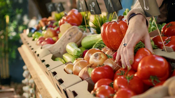 Farmářky Které Pěstují Ovoce Zeleninu Farmářském Trhu Připravují Prodávat Přírodní — Stock fotografie
