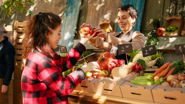 素食主义者客户选择五颜六色的苹果和产品 在农贸市场摊位上看有机农产品 妇女企业主在节日期间销售新鲜季节性水果和蔬菜 — 图库照片