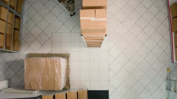 倉庫のチーフサプライチェーンオフィサーのトップダウンビューは 調査結果を比較して 段ボール箱の小包を並列に検査します 在庫と在庫が十分に整理されていることを確認するデポジトリスタッフ — ストック動画