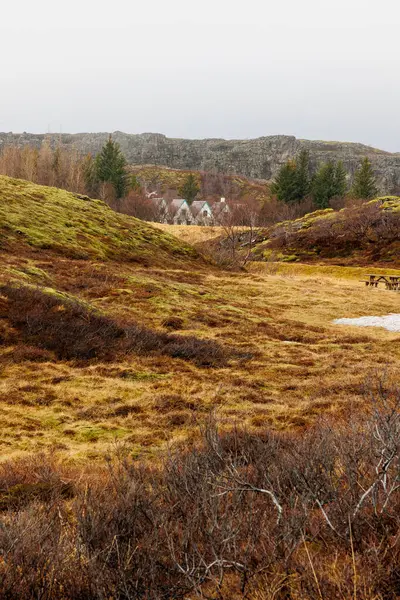 Nordycki Park Narodowy Islandii Wyżynami Gruntami Malowniczymi Domami Rustykalnymi Nad — Zdjęcie stockowe