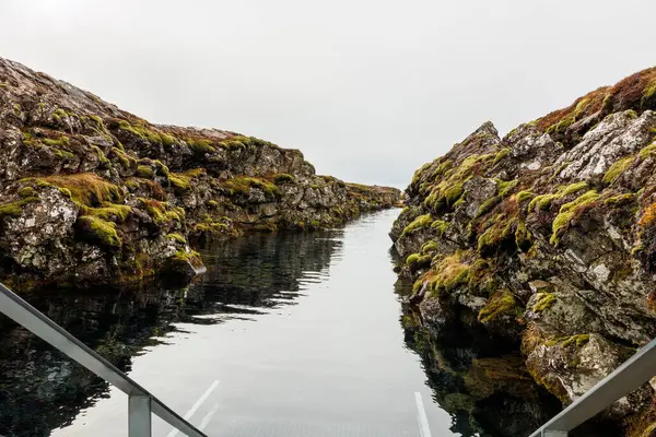 Strumień Wody Icelandyjskim Parku Narodowym Nordycką Roślinnością Niesamowite Krajobrazy Thingvellir — Zdjęcie stockowe