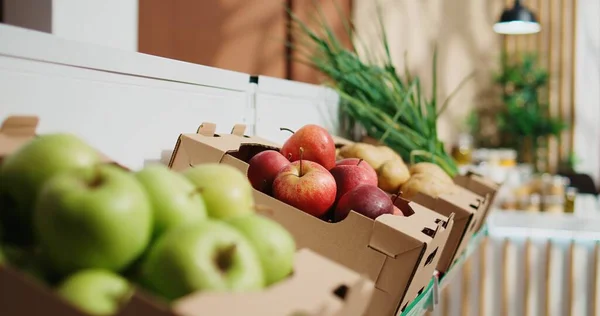 Close Shot Freshly Harvested Chemicals Free Fruits Vegetables Zero Waste — Stock Photo, Image
