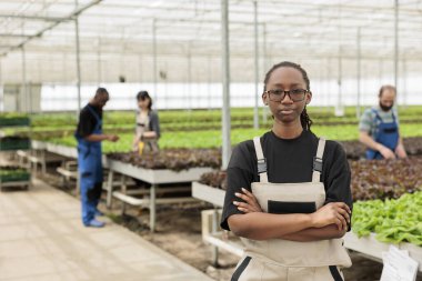 Afrika kökenli Amerikalı çiftlik yöneticisi yerel kimyasalsız gıda mahsulleri yetiştiren çiftçilerin bahçıvanlık ekibine liderlik ediyor. Sertifikalı organik serada sürdürülebilir çevre dostu tarım