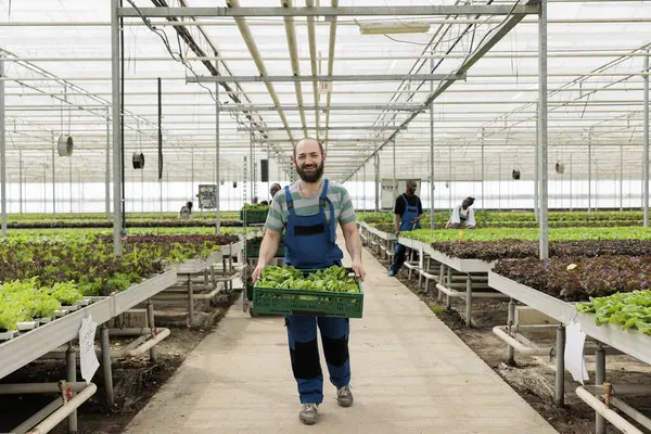 Cheerful Farmer Doing Regenerative Agriculture Using Pesticide Free Soil Fertilizer — Stock Photo, Image
