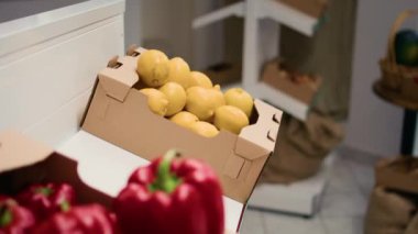 Doğal organik meyve ve sebzeler biyolojik olarak ayrıştırılabilir kasalarda depolanır, küçük işletme konsepti. Çevreye duyarlı sıfır atık süpermarketinde taze toplanmış kimyasallar ücretsiz gıda ürünleri