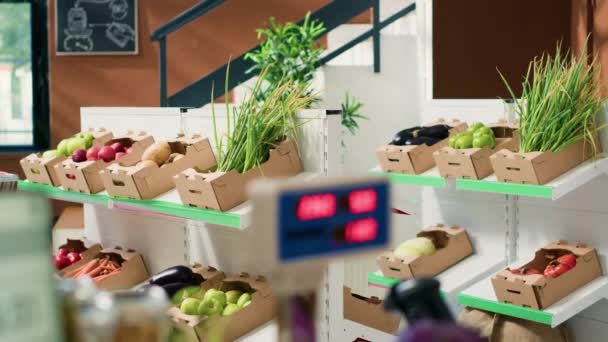 倫理的に調達された果物 スパイス 棚のパスタが付いている低炭素足跡のエコスーパーマーケット 有機栽培品を販売するゼロ廃棄物食料品店 エコロジーバランス — ストック動画