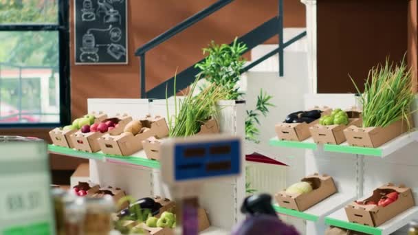 Verse Groenten Fruit Kratten Bij Lokale Bio Supermarkt Lege Afvalvrije — Stockvideo