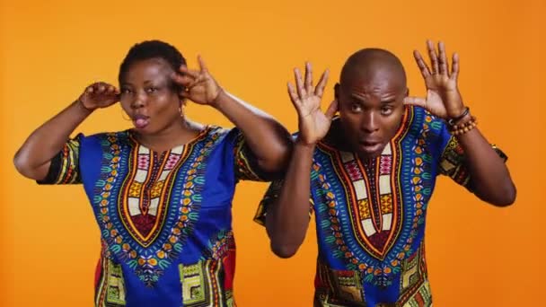 Pasangan Bodoh Afrika Amerika Bermain Main Depan Kamera Menjulurkan Lidah — Stok Video