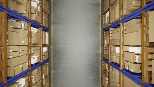 Storage Room Racks Filled Containers Merchandise Distribution Center Storing Products — Stock Video
