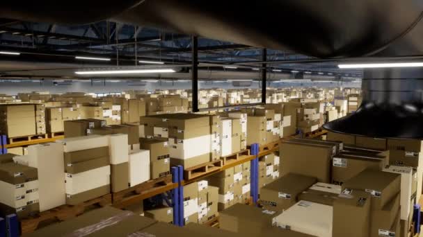 庞大的仓储设施 有成箱的批发包装 工业货架上的零售商品 有定单邮票和标签 具有物流进出口系统的仓库 3D渲染动画 — 图库视频影像
