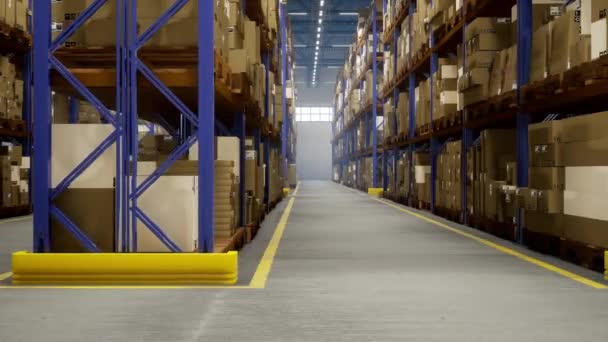 Productie Opslagfaciliteit Verpakt Met Zegels Containers Die Dienen Als Een — Stockvideo