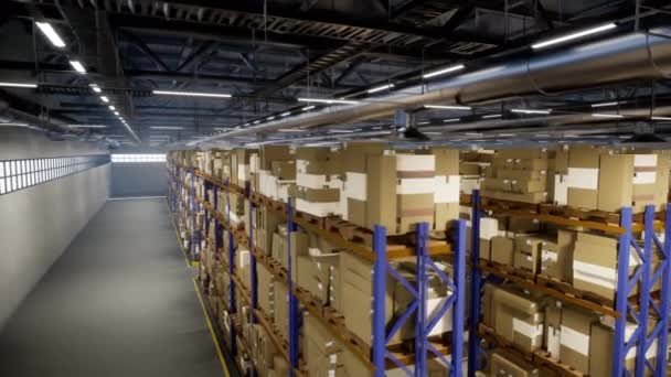 Logistieke Faciliteit Met Merchandise Voor Distributie Procedures Leveringen Route Geëtiketteerd — Stockvideo